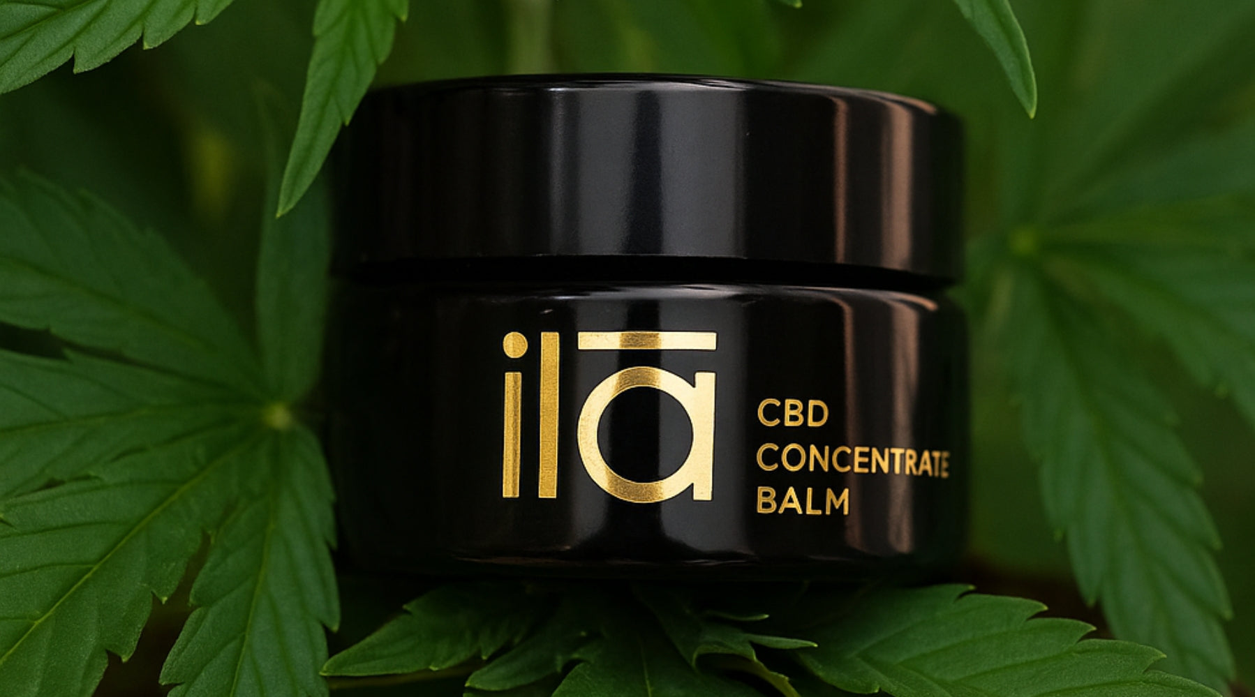 Celebrate CBD Day with Skincare That Heals & Balances