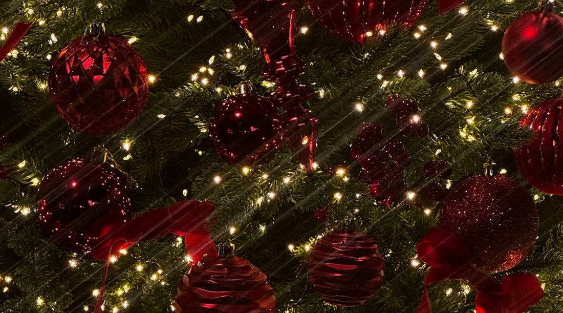 A Message from our Founder | Denise Leicester