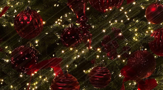 A Message from our Founder | Denise Leicester