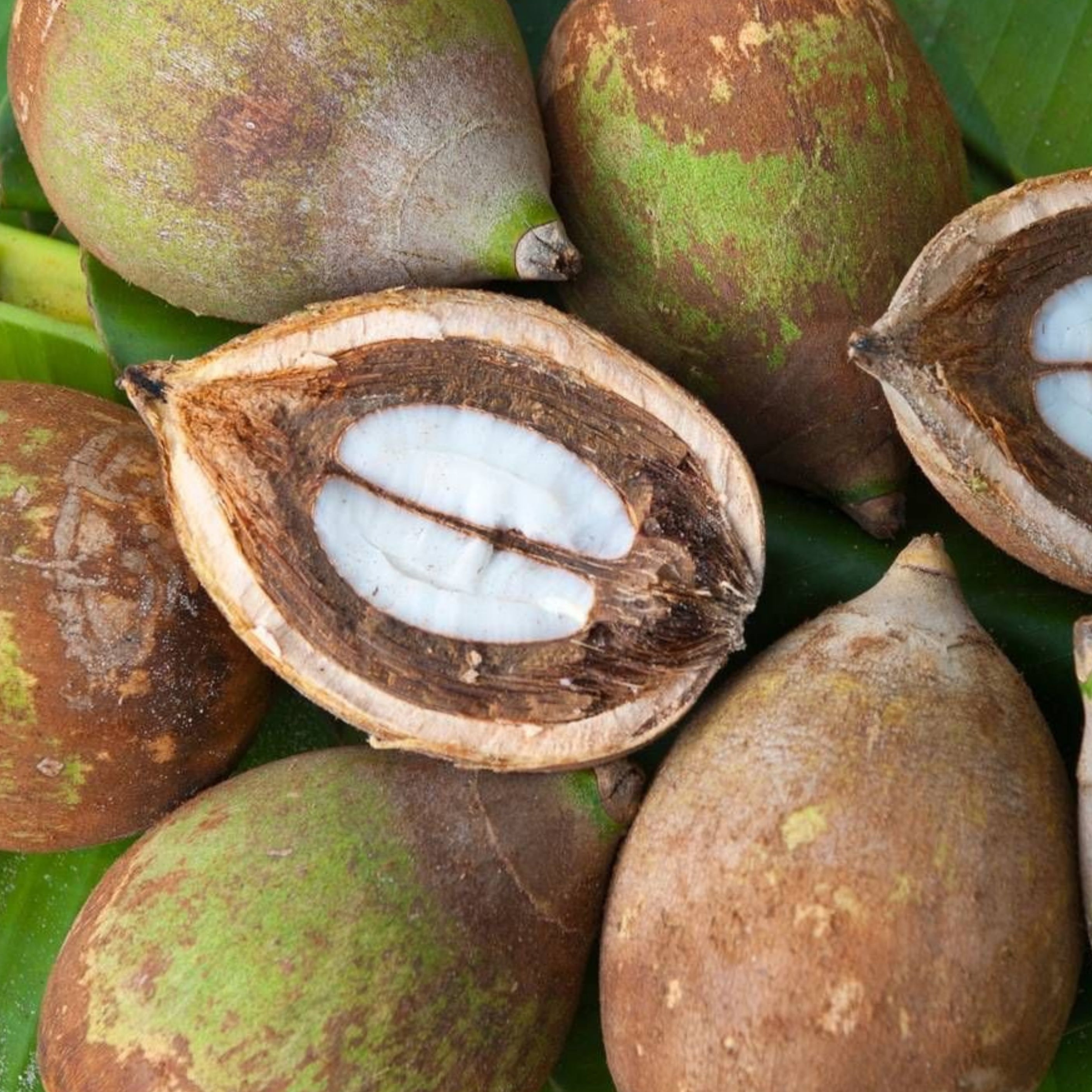 Babassu Oil