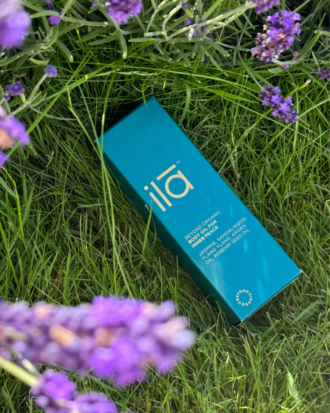 BODY OIL