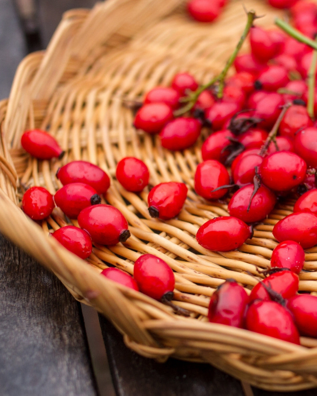 ROSEHIP SEED OIL